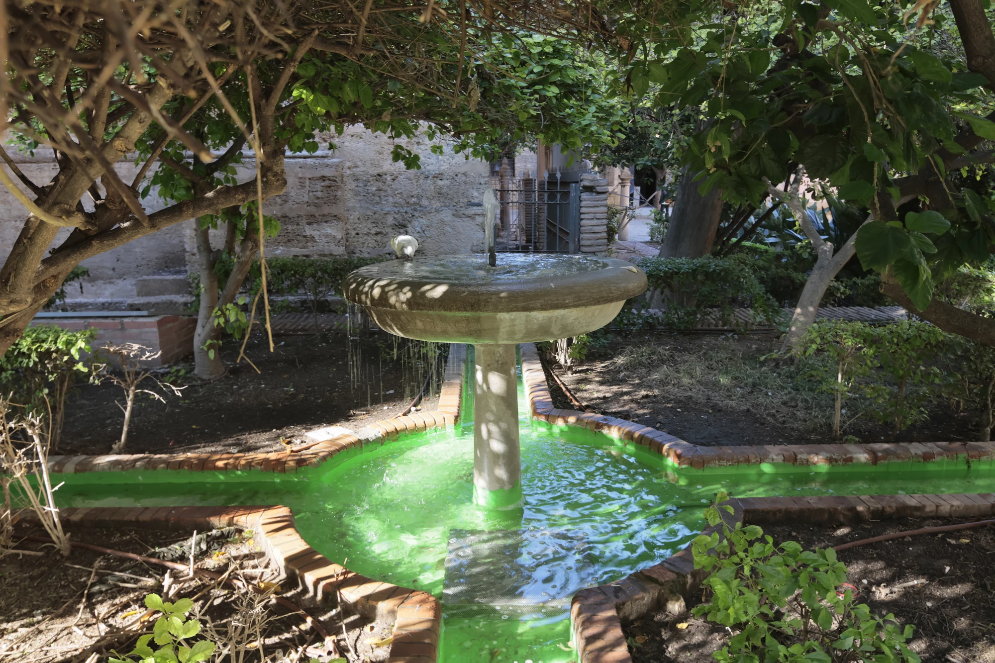 Tokina at-x 116 (EF) - _I4A2255.webp